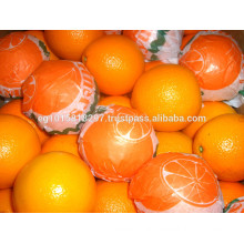 citrus orange